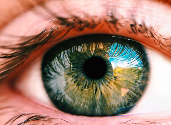 Closeup of an Eye