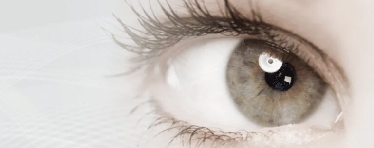 Pale gray eye with soft lash reflection