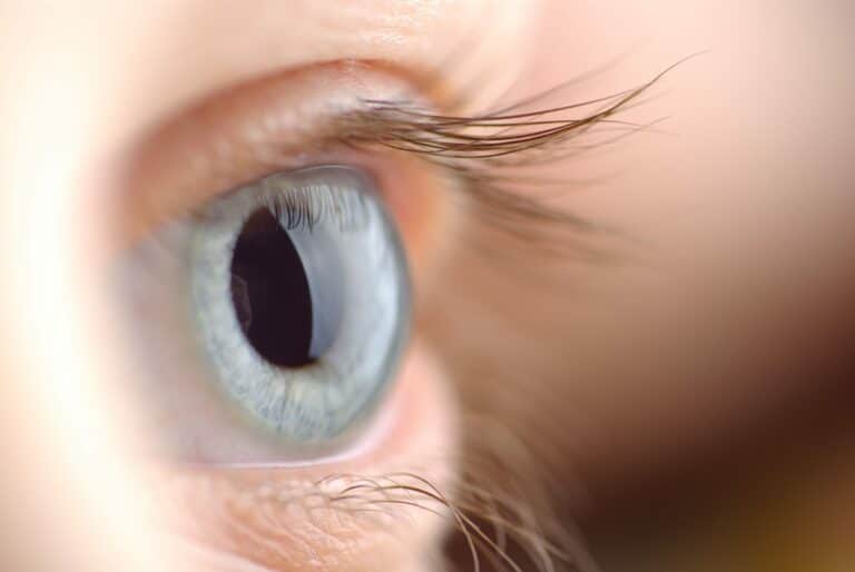 Not enough corneas: Fact or fiction?