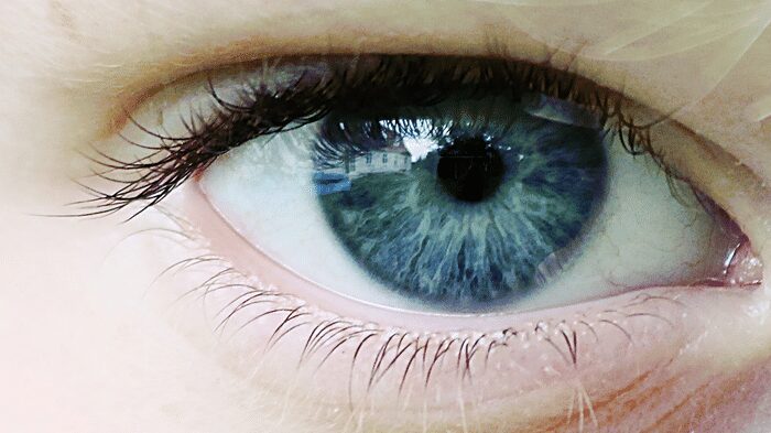 Blue iris with window reflection