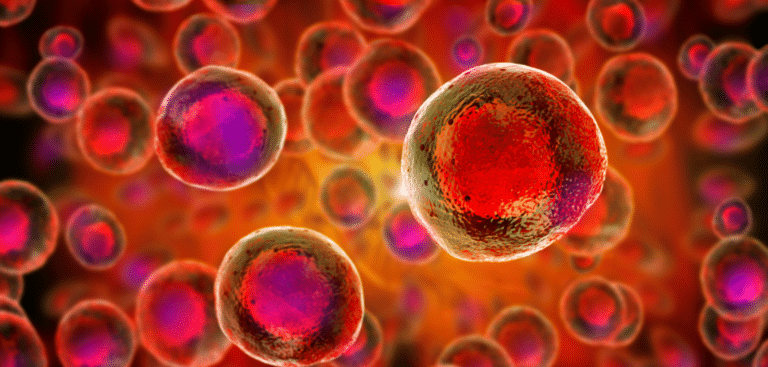 Misinformation rampant about unapproved stem cell therapies