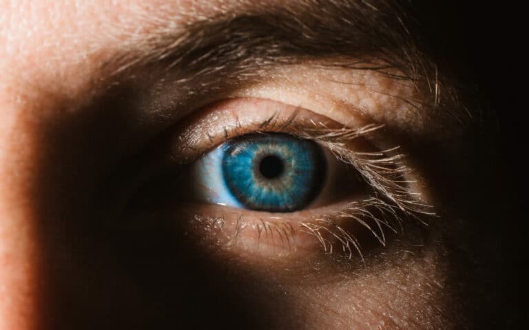 Close-up of blue male eye, detailed macro photograph of retina and vision of human eyeball