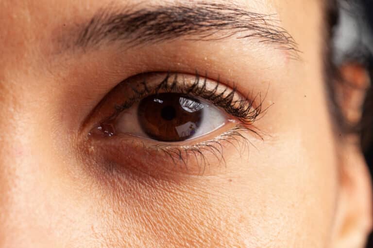 close up of feminine eye with eyelashes and eyebrow