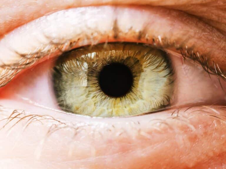 Extreme close up of woman's green eye iris. Human eye iris contracting.