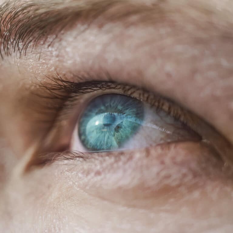 Human blue eye macro shot