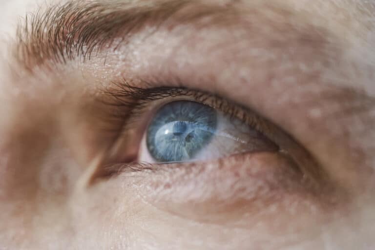 Human blue eye macro shot