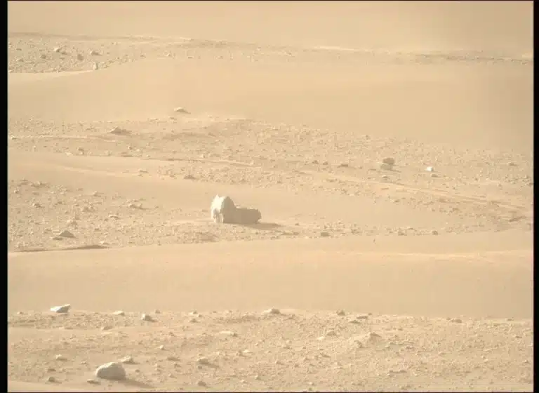 The Perseverance Rover Spies What Appears To Be A Cat On Mars