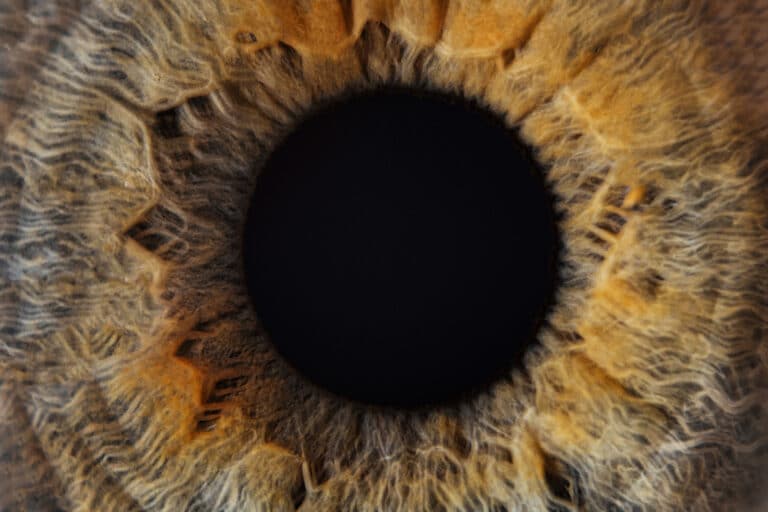 Macro photo of human child eye looking at the side.