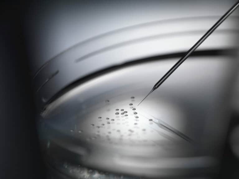 Micro pipette and cells in petri dish