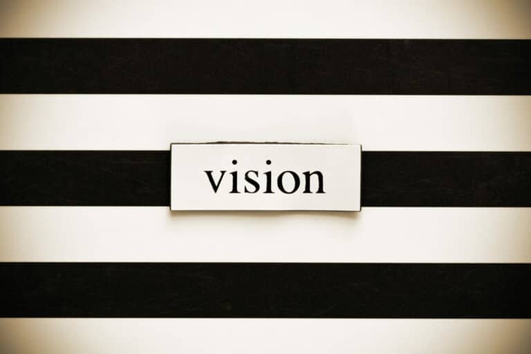 Vision